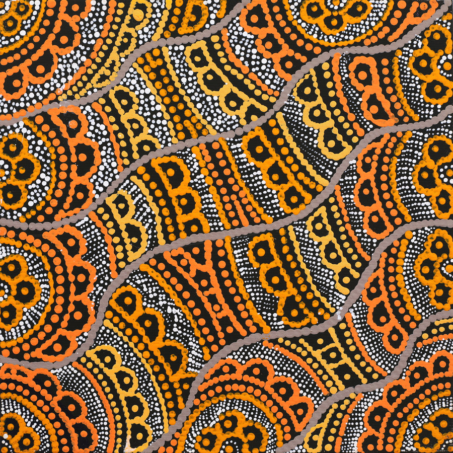 Aboriginal Artwork by Kirsty-Anne Napanangka Martin, Ngalyipi Jukurrpa (Snakevine Dreaming) - Mina Mina, 30x30cm