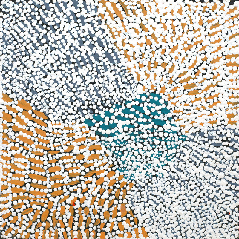 Aboriginal Artwork by Kitty Napaljarri Brown, Mina Mina Jukurrpa (Mina Mina Dreaming) - Janyinki, 30x30cm