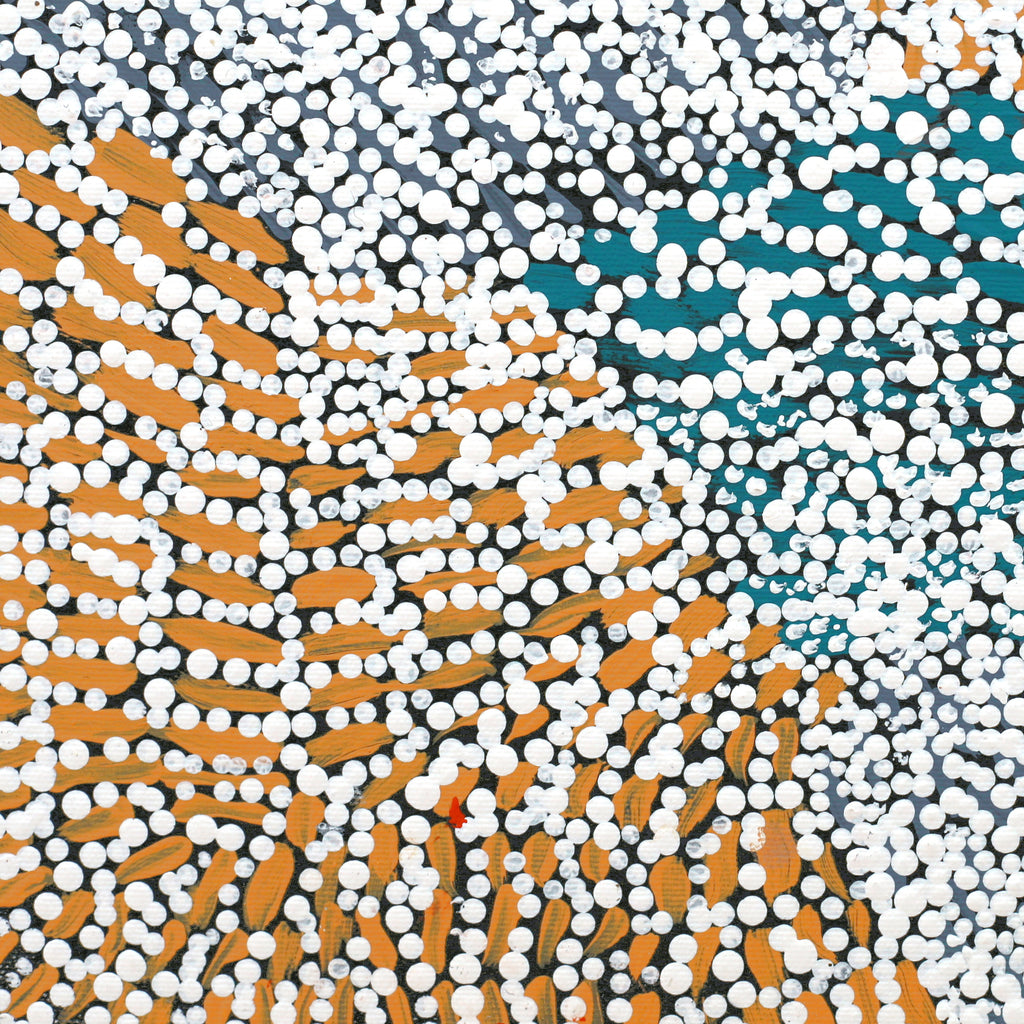 Aboriginal Artwork by Kitty Napaljarri Brown, Mina Mina Jukurrpa (Mina Mina Dreaming) - Janyinki, 30x30cm