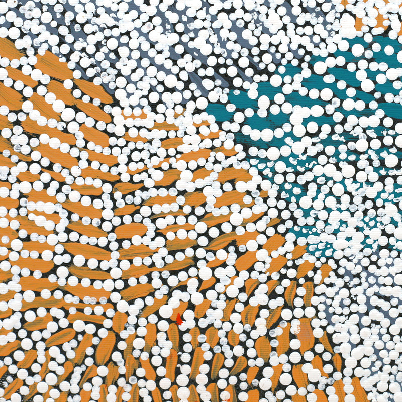 Aboriginal Artwork by Kitty Napaljarri Brown, Mina Mina Jukurrpa (Mina Mina Dreaming) - Janyinki, 30x30cm