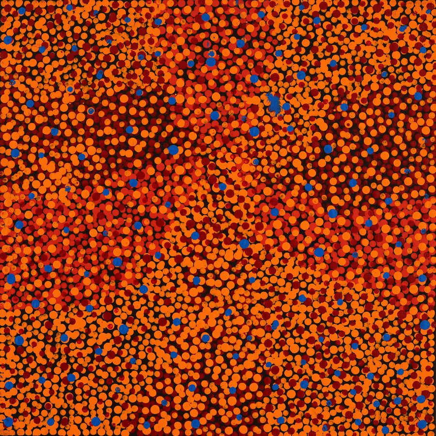 Aboriginal Artwork by Krishana Petrick, Ngapa Jukurrpa (Water Dreaming) - Puyurru, 30x30cm