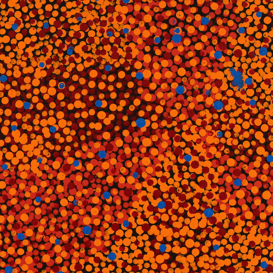 Aboriginal Artwork by Krishana Petrick, Ngapa Jukurrpa (Water Dreaming) - Puyurru, 30x30cm
