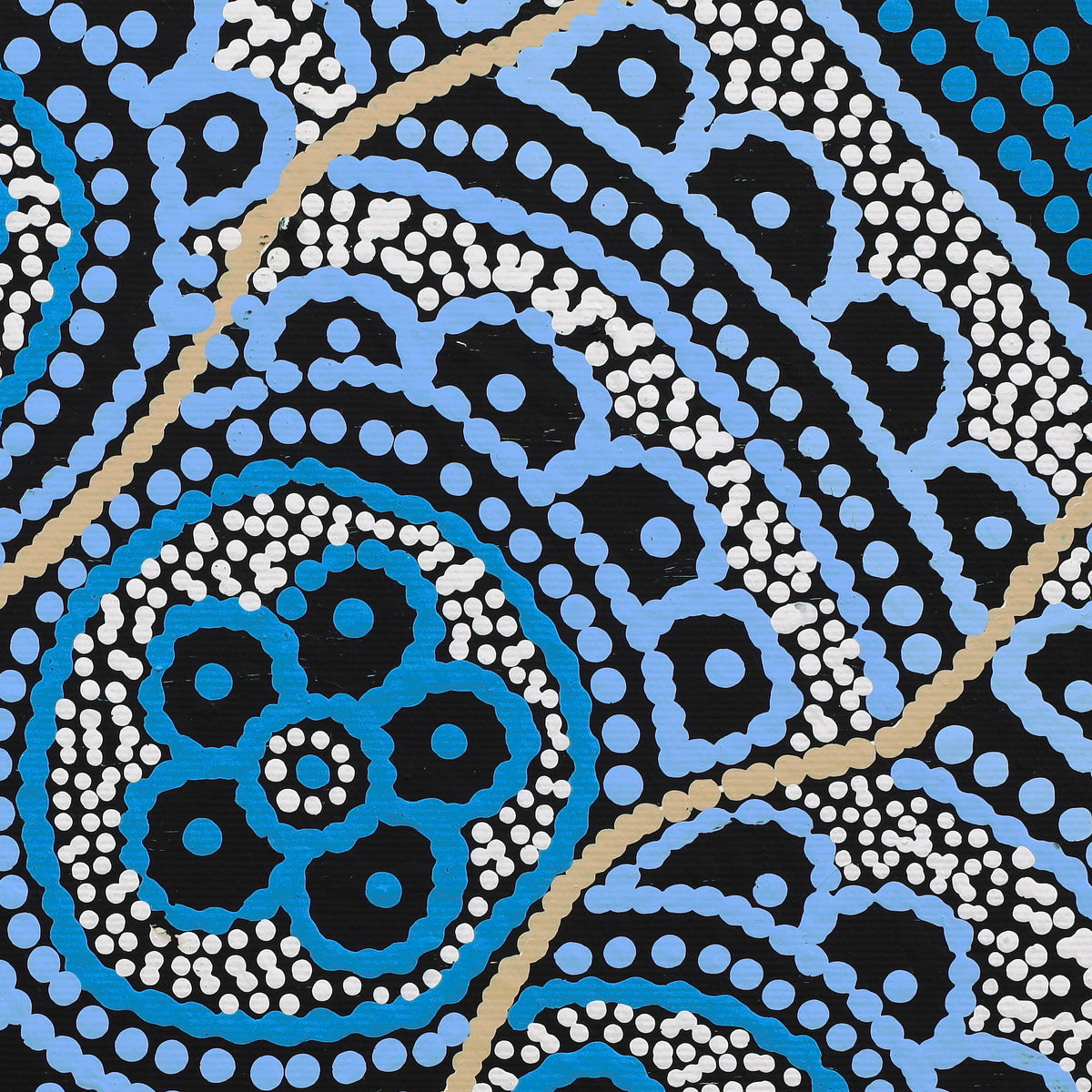 Aboriginal Art by Kirsty-Anne Napanangka Martin, Ngalyipi Jukurrpa (Snakevine Dreaming) - Mina Mina, 30x30cm - ART ARK®