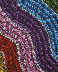 Aboriginal Artwork by Kylie Nelson, Walka Wiru Ngura Wiru, 101x77cm