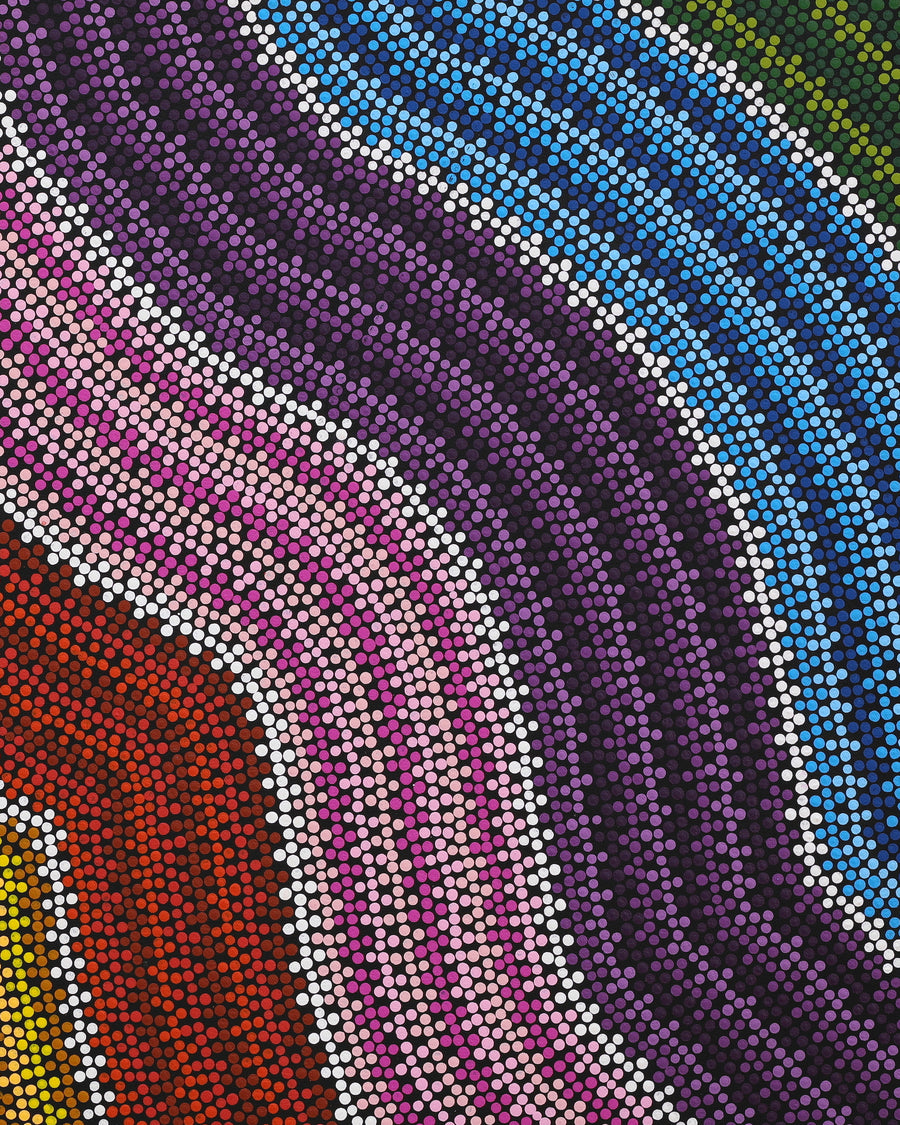 Aboriginal Artwork by Kylie Nelson, Walka Wiru Ngura Wiru, 101x77cm