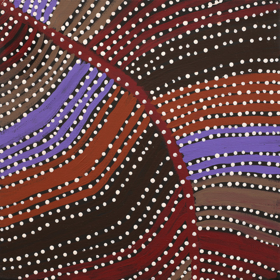 Aboriginal Artwork by Kylie Napangardi Williams, Yarla Jukurrpa (Bush Potato Dreaming) - Cockatoo Creek, 30x30cm