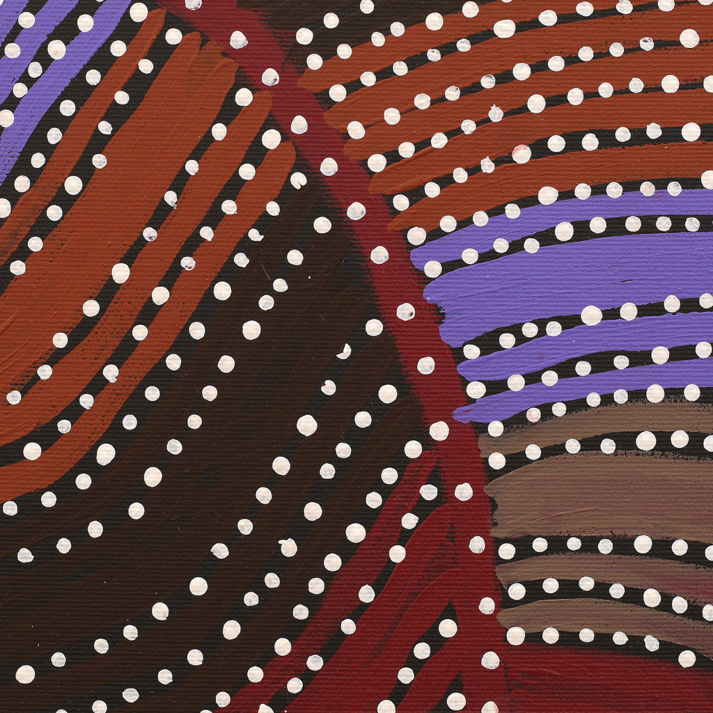 Aboriginal Artwork by Kylie Napangardi Williams, Yarla Jukurrpa (Bush Potato Dreaming) - Cockatoo Creek, 30x30cm