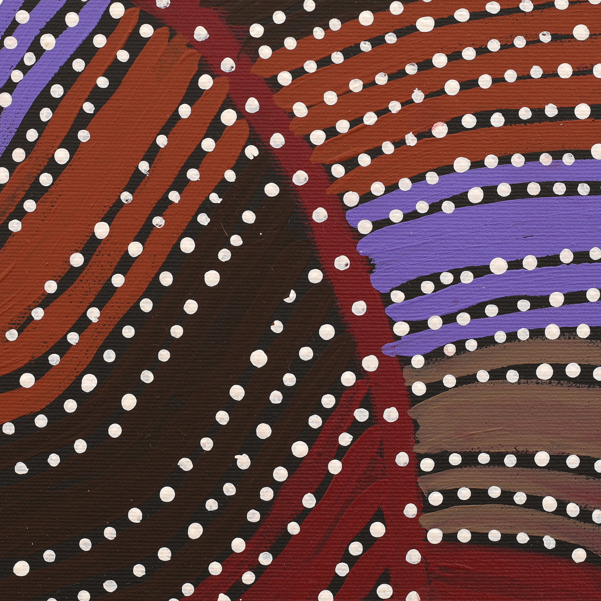 Aboriginal Art by Kylie Napangardi Williams, Yarla Jukurrpa (Bush Potato Dreaming) - Cockatoo Creek, 30x30cm - ART ARK®