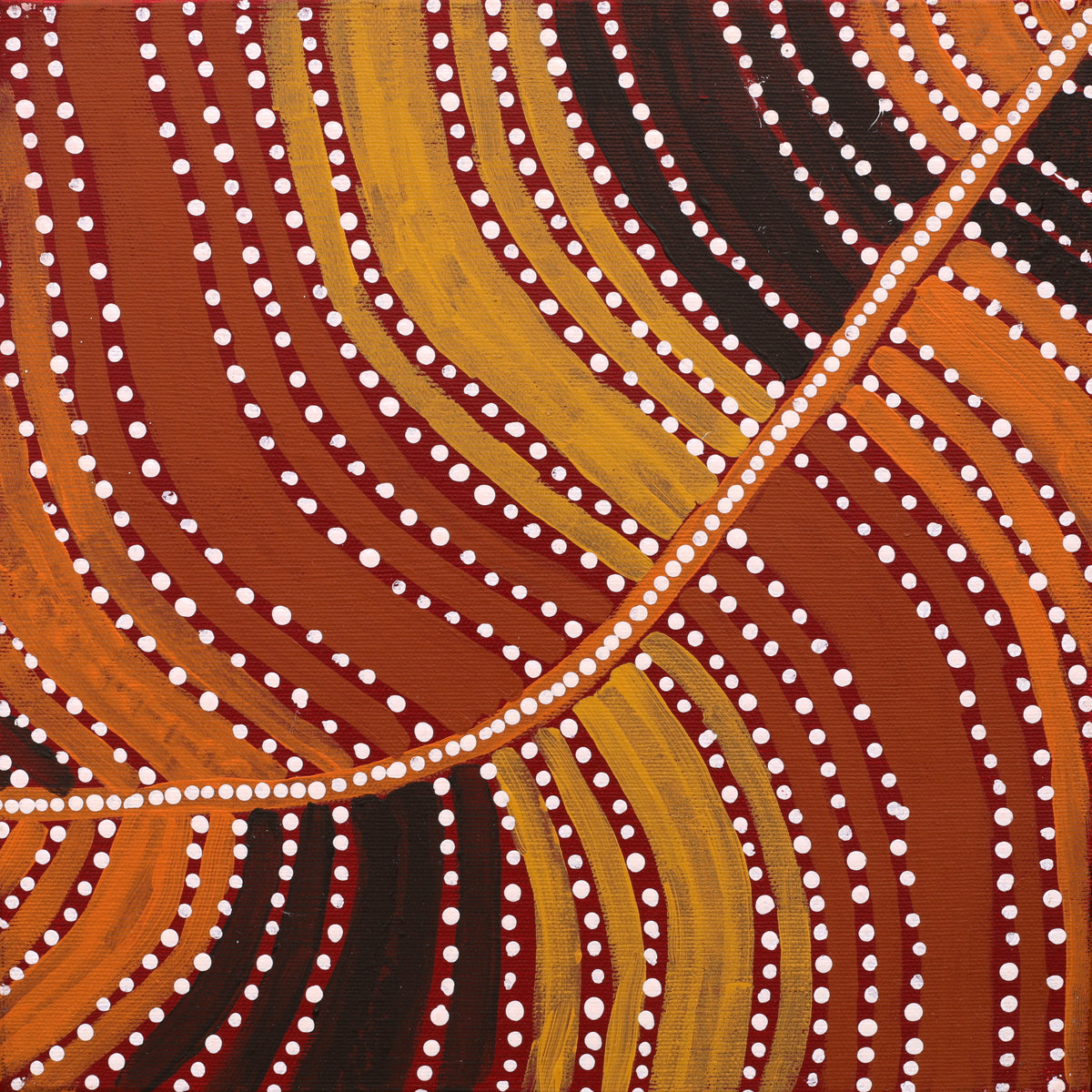 Aboriginal Artwork by Kylie Napangardi Williams, Yarla Jukurrpa (Bush Potato Dreaming) - Cockatoo Creek, 30x30cm