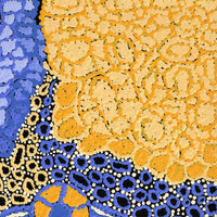 Aboriginal Artwork by Lena Young, Ngayuku Ngura, 51x40cm