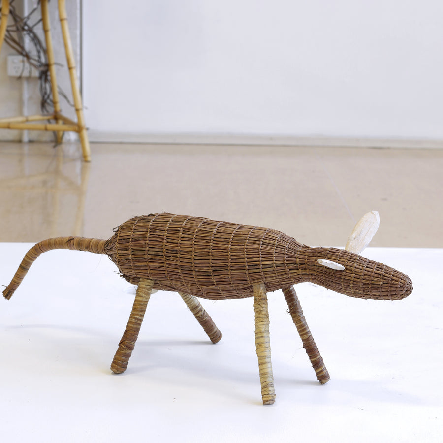 Lena Yarinkura, Duruk (dog), 68cm