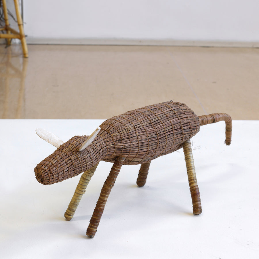 Lena Yarinkura, Duruk (dog), 68cm