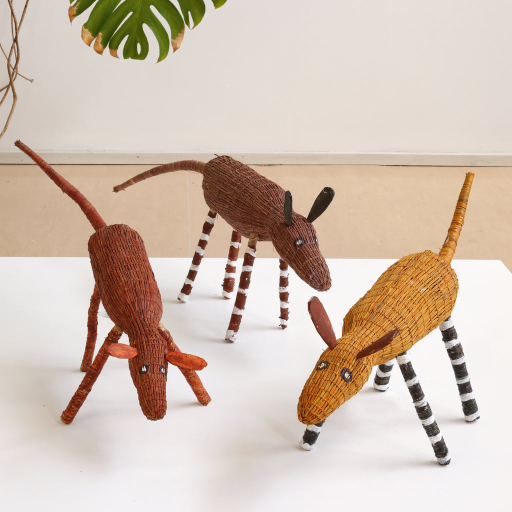 Aboriginal Artwork by Lena Yarinkura, Duruk (dog) Pack, Group of 3