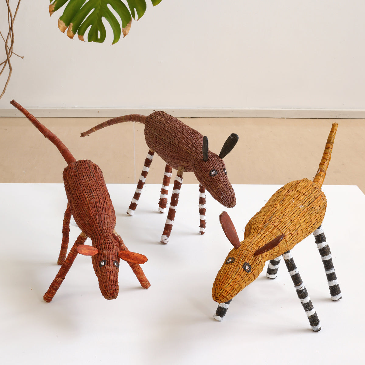 Lena Yarinkura, Duruk (dog) Pack, Group of 3