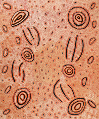 Aboriginal Artwork by Leston Japaljarri Spencer, Warna Jukurrpa (Snake Dreaming), 183x152cm