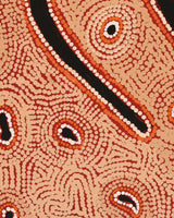 Aboriginal Art by Leston Japaljarri Spencer, Warna Jukurrpa (Snake Dreaming), 183x152cm - ART ARK®