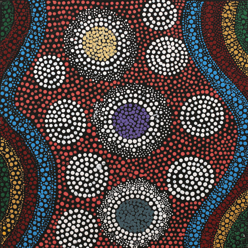 Aboriginal Artwork by Lisa Nampijinpa Cook, Yarla Jukurrpa (Bush Potato Dreaming) - Cockatoo Creek, 30x30cm