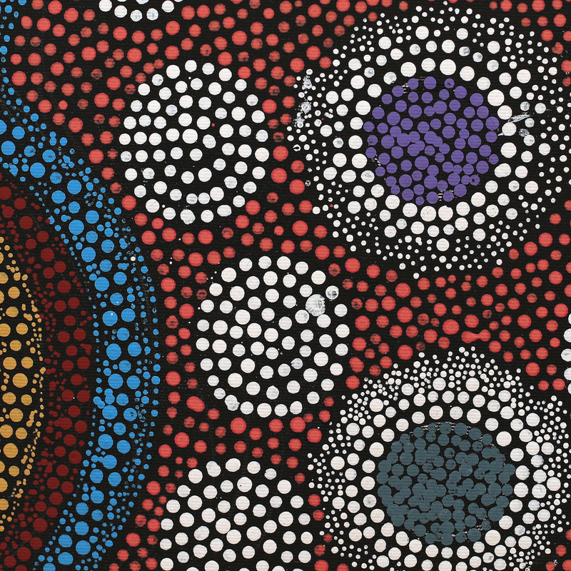 Aboriginal Artwork by Lisa Nampijinpa Cook, Yarla Jukurrpa (Bush Potato Dreaming) - Cockatoo Creek, 30x30cm