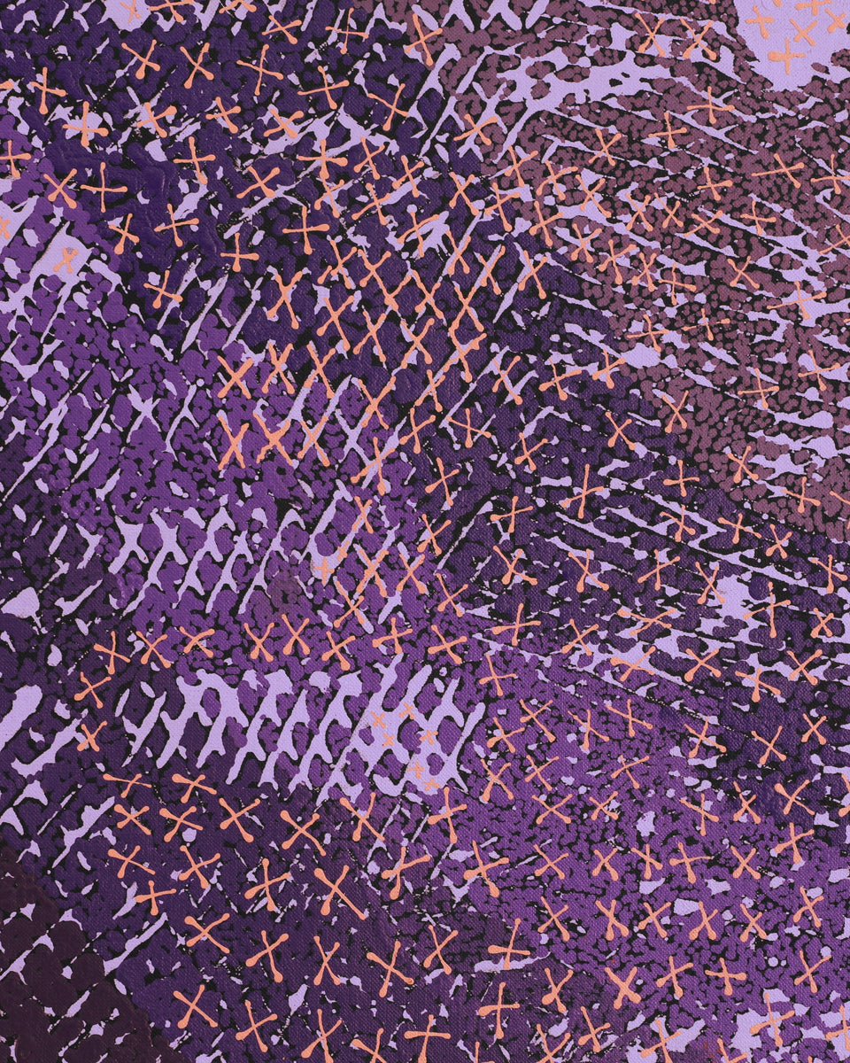 Aboriginal Artwork by Lloyd Jampijinpa Brown, Yankirri Jukurrpa (Emu Dreaming), 152x61cm