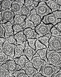 Aboriginal Artwork by Lola Nampijinpa Brown, Ngapa Jukurrpa - Mikanji, 107x30cm