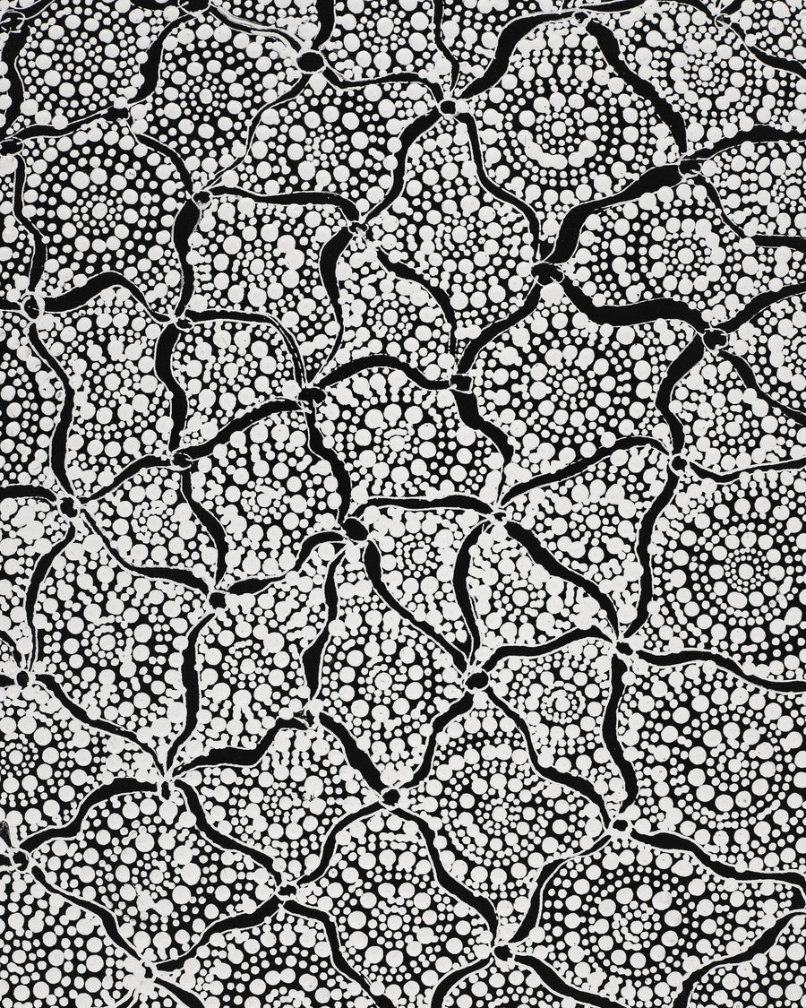 Aboriginal Artwork by Lola Nampijinpa Brown, Ngapa Jukurrpa - Mikanji, 107x30cm