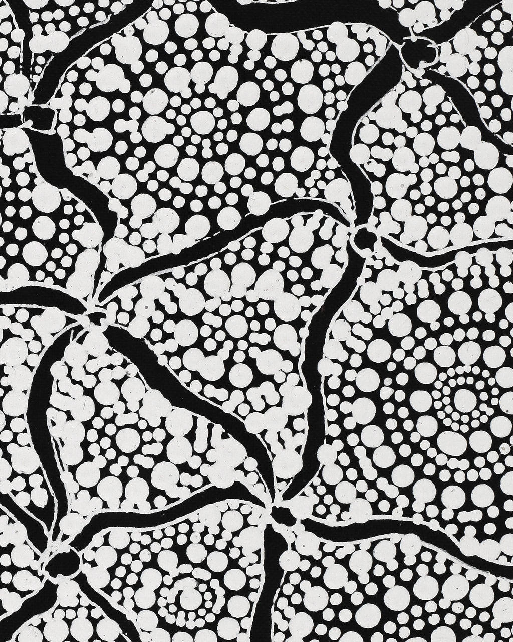 Aboriginal Artwork by Lola Nampijinpa Brown, Ngapa Jukurrpa - Mikanji, 107x30cm
