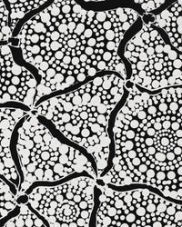 Aboriginal Artwork by Lola Nampijinpa Brown, Ngapa Jukurrpa - Mikanji, 107x30cm