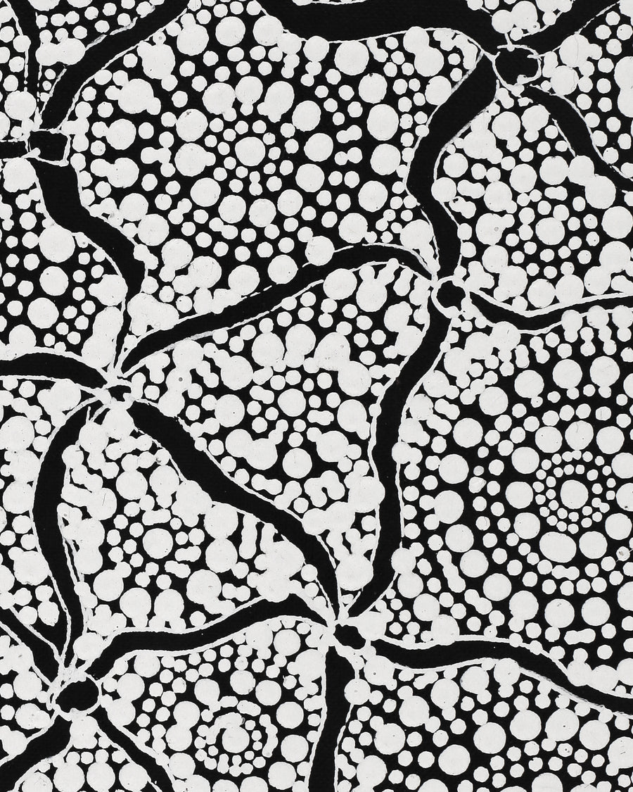 Aboriginal Artwork by Lola Nampijinpa Brown, Ngapa Jukurrpa - Mikanji, 107x30cm