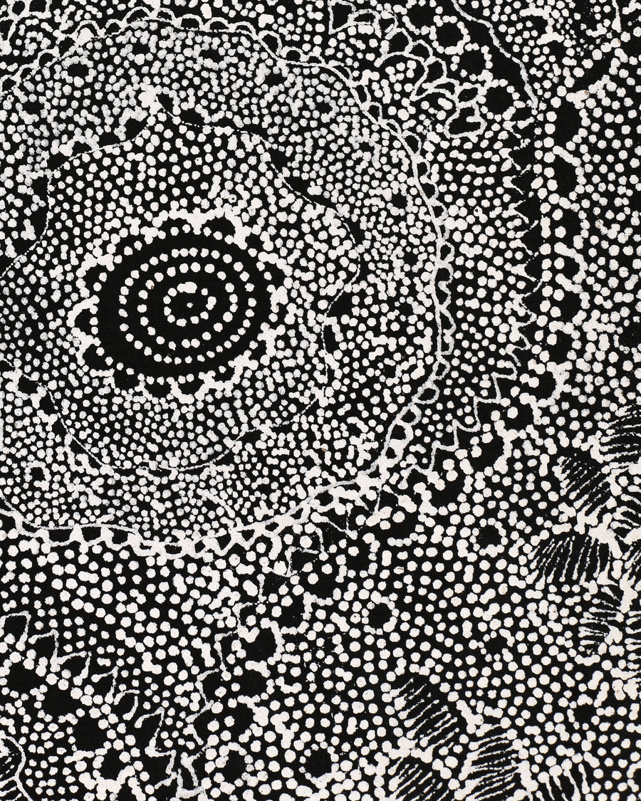 Aboriginal Artwork by Lola Nampijinpa Brown, Ngapa Jukurrpa - Mikanji, 107x30cm