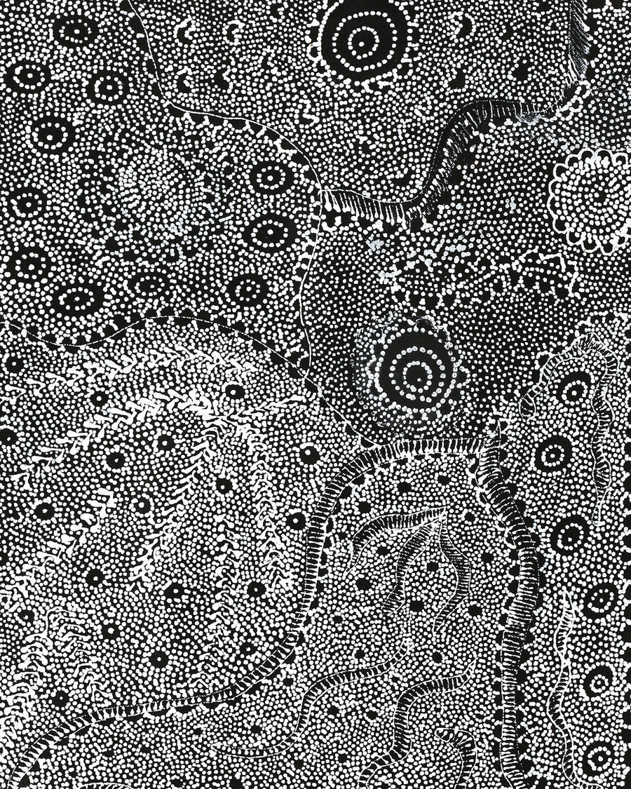 Aboriginal Artwork by Lola Nampijinpa Brown, Ngapa Jukurrpa - Mikanji, 107x30cm