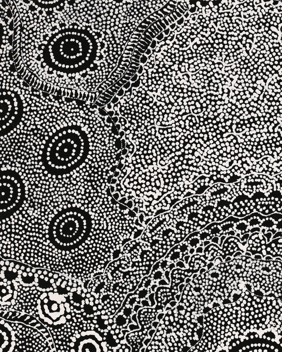 Aboriginal Artwork by Lola Nampijinpa Brown, Ngapa Jukurrpa - Mikanji, 107x30cm