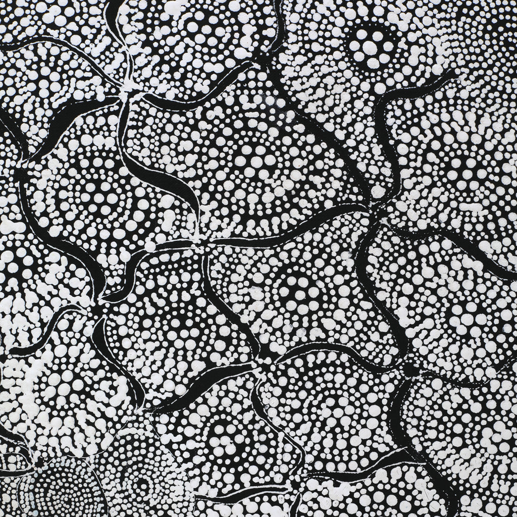 Aboriginal Artwork by Lola Nampijinpa Brown, Ngapa Jukurrpa - Mikanji, 107x61cm