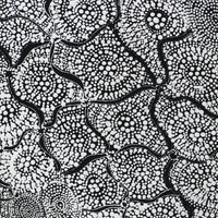 Aboriginal Artwork by Lola Nampijinpa Brown, Ngapa Jukurrpa - Mikanji, 107x61cm