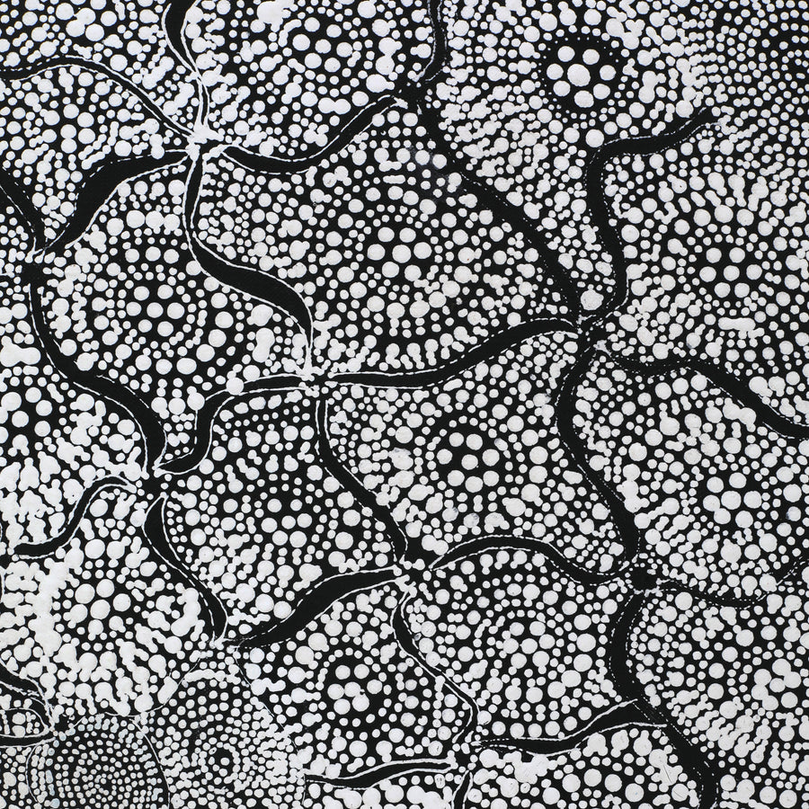 Aboriginal Artwork by Lola Nampijinpa Brown, Ngapa Jukurrpa - Mikanji, 107x61cm