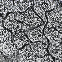 Aboriginal Art by Lola Nampijinpa Brown, Ngapa Jukurrpa - Mikanji, 107x61cm - ART ARK®