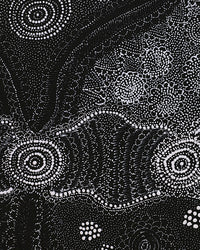 Lola Nampijinpa Brown, Ngapa Jukurrpa - Mikanji, 122x61cm
