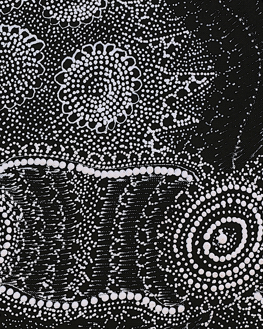 Lola Nampijinpa Brown, Ngapa Jukurrpa - Mikanji, 122x61cm