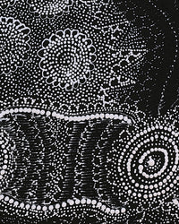 Lola Nampijinpa Brown, Ngapa Jukurrpa - Mikanji, 122x61cm