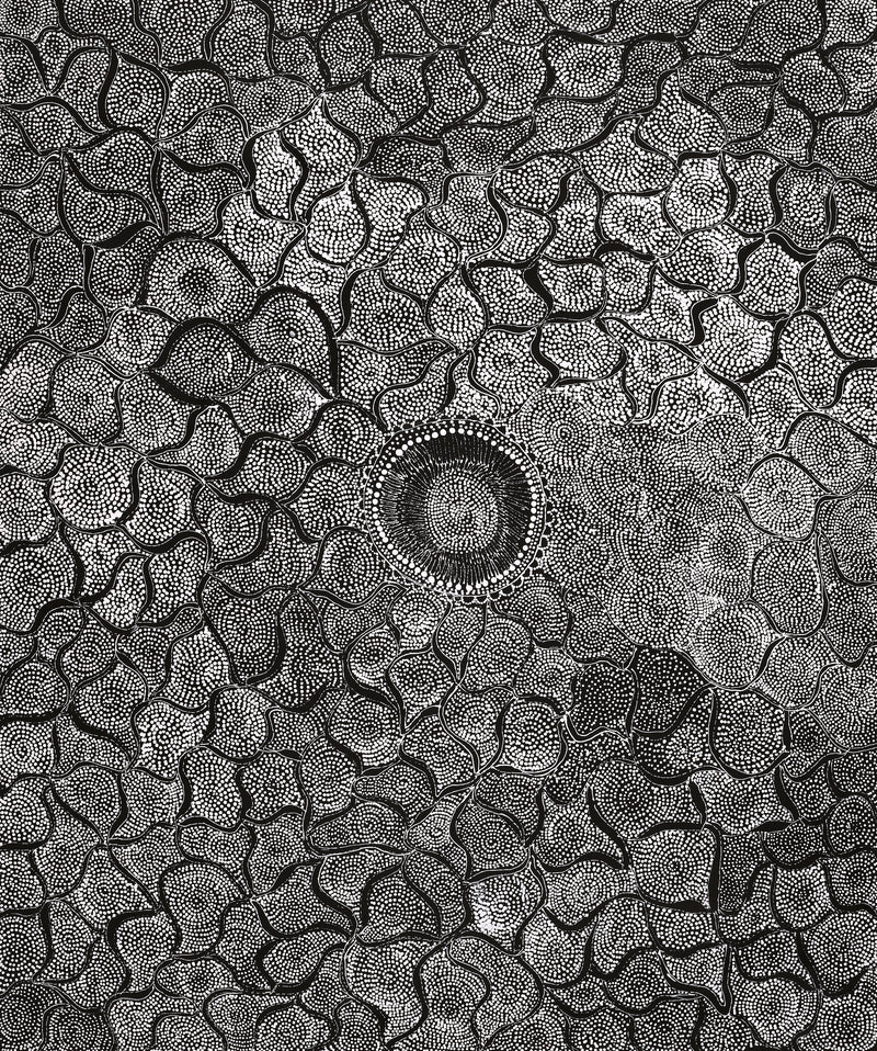 Aboriginal Artwork by Lola Nampijinpa Brown, Ngapa Jukurrpa - Mikanji, 91x76cm