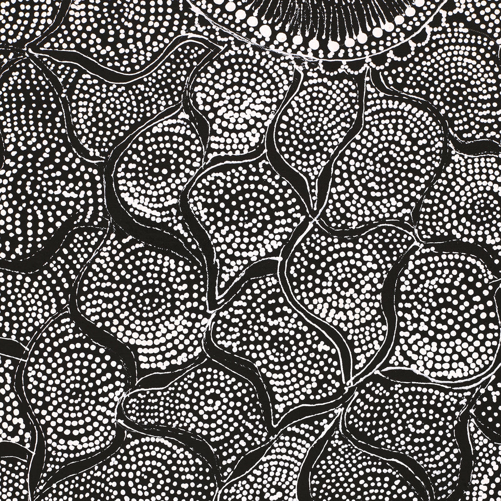 Aboriginal Artwork by Lola Nampijinpa Brown, Ngapa Jukurrpa - Mikanji, 91x76cm