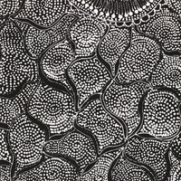 Aboriginal Artwork by Lola Nampijinpa Brown, Ngapa Jukurrpa - Mikanji, 91x76cm