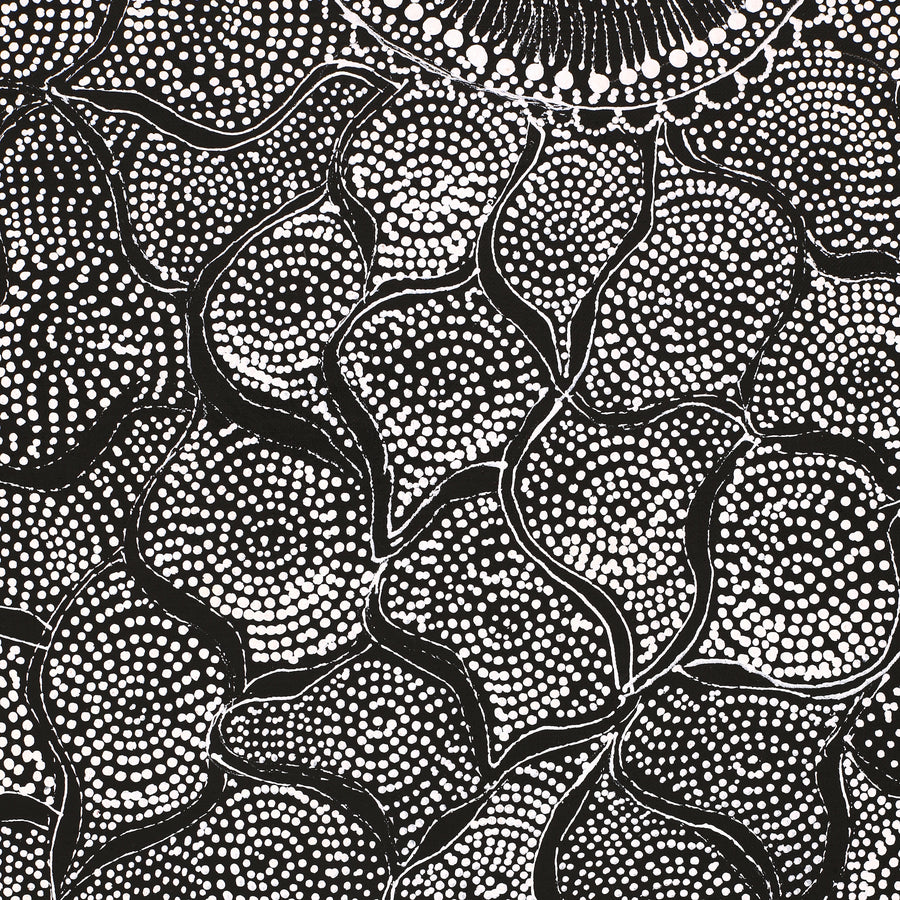 Aboriginal Artwork by Lola Nampijinpa Brown, Ngapa Jukurrpa - Mikanji, 91x76cm