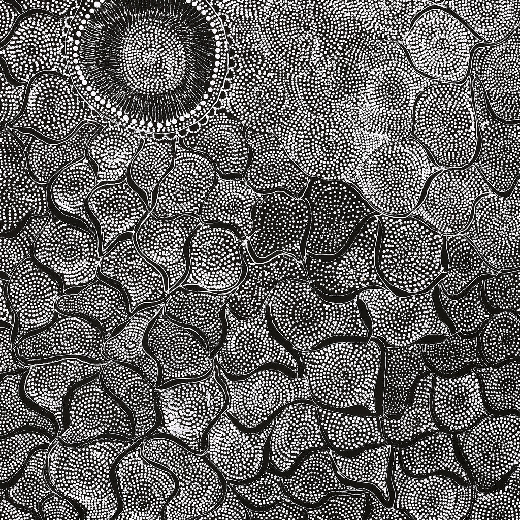 Aboriginal Artwork by Lola Nampijinpa Brown, Ngapa Jukurrpa - Mikanji, 91x76cm