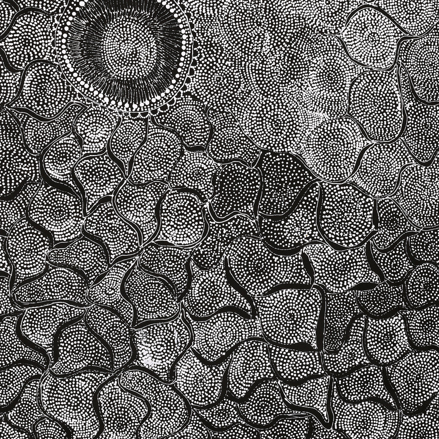Aboriginal Artwork by Lola Nampijinpa Brown, Ngapa Jukurrpa - Mikanji, 91x76cm