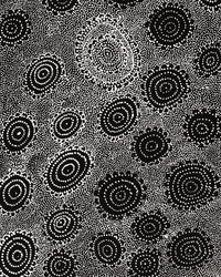 Aboriginal Artwork by Lola Nampijinpa Brown, Ngapa Jukurrpa - Mikanji, 61x30cm
