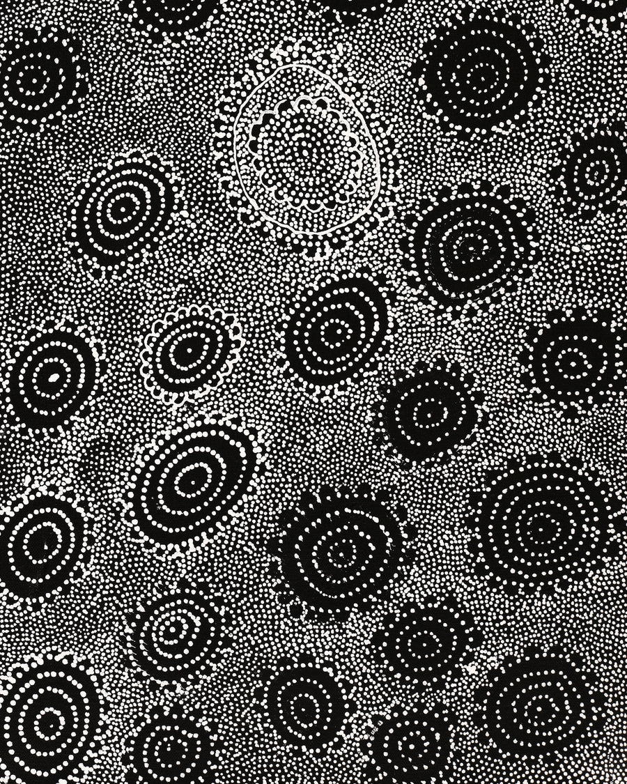 Aboriginal Artwork by Lola Nampijinpa Brown, Ngapa Jukurrpa - Mikanji, 61x30cm