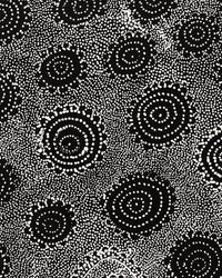 Aboriginal Artwork by Lola Nampijinpa Brown, Ngapa Jukurrpa - Mikanji, 61x30cm