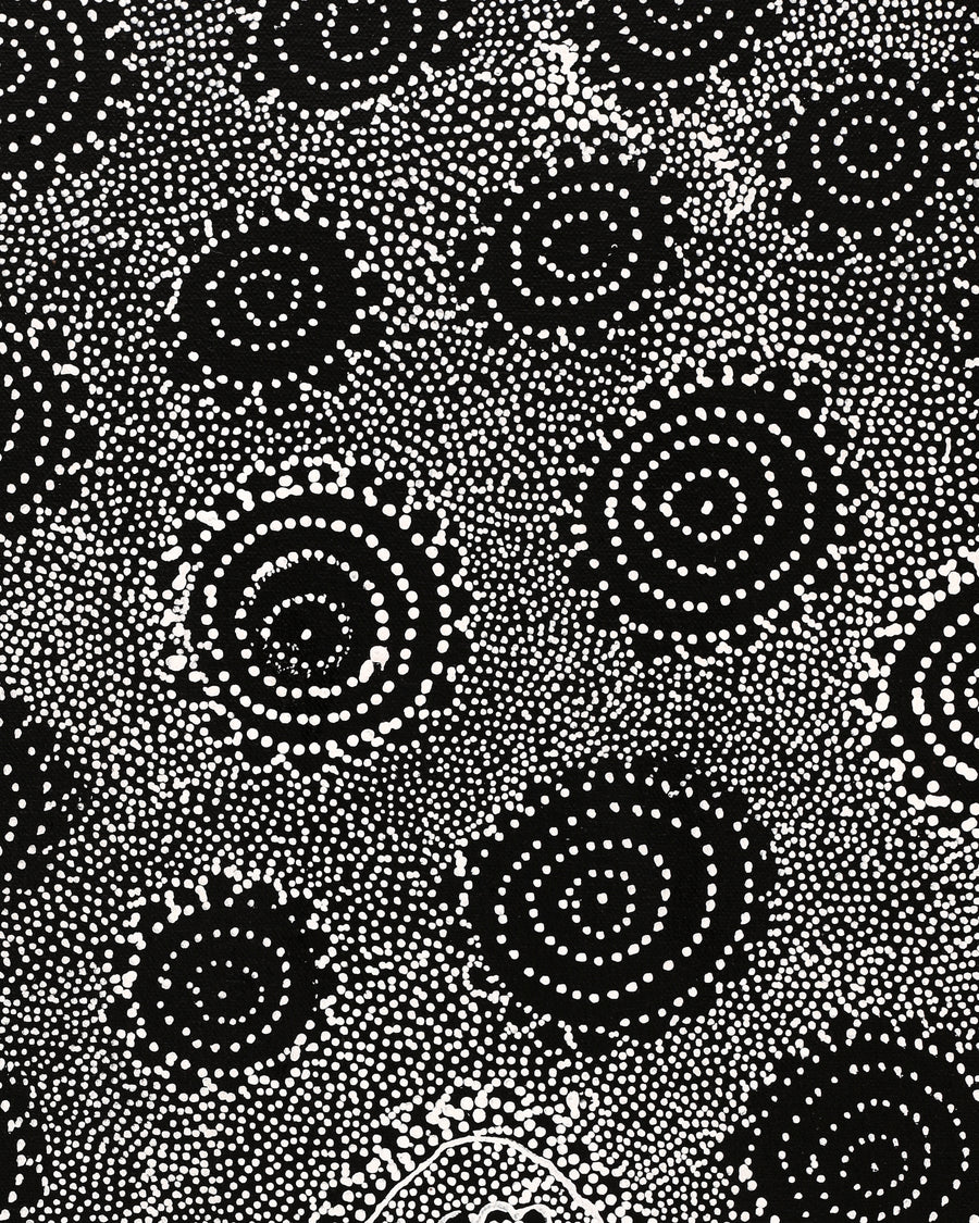 Aboriginal Artwork by Lola Nampijinpa Brown, Ngapa Jukurrpa - Mikanji, 61x30cm