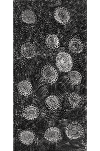 Aboriginal Artwork by Lola Nampijinpa Brown, Ngapa Jukurrpa - Mikanji, 61x30cm