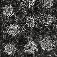 Aboriginal Artwork by Lola Nampijinpa Brown, Ngapa Jukurrpa - Mikanji, 61x30cm